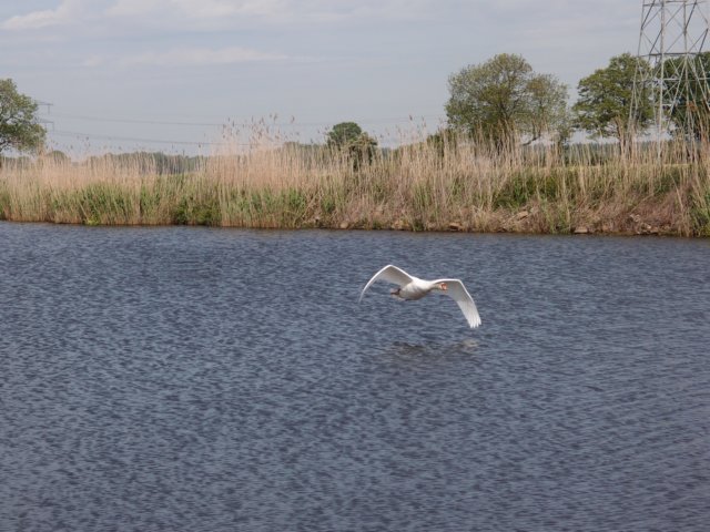 HWK 2012 Hummelo 081.jpg